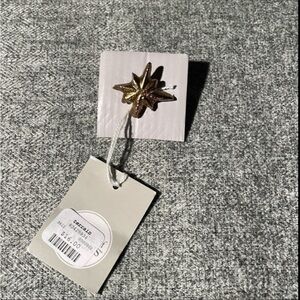 Anthropologie Terrain Star Pin. NWT
